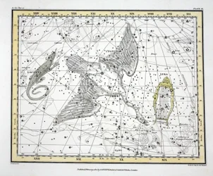 Les Constellations (Planche XI) Cygnus, Lacerta et Via Lactea, de 